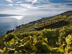 Standort-Rundreise Montreux mit Bahn(S)Pass